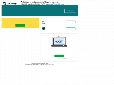 drivenconsultinggroup.com snapshot