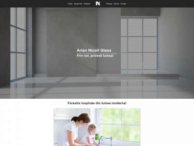 ariannicollglass.com snapshot