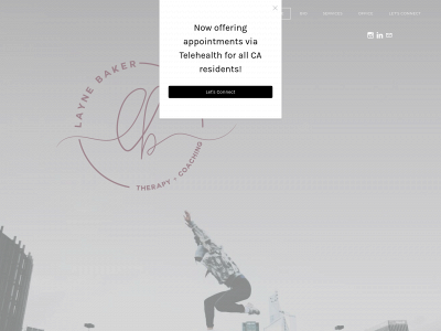 www.laynebaker.com snapshot