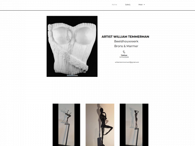 williamtemmerman.be snapshot