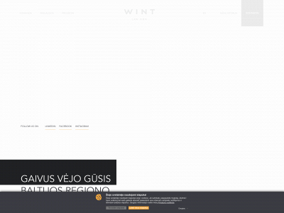 wint.lt snapshot