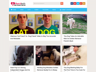i-heart-pets.com snapshot