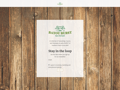 www.bayouburst.com snapshot