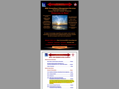whc-consulting.info snapshot