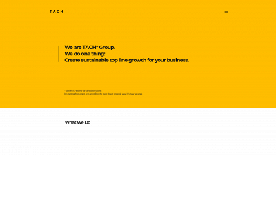tach-group.com snapshot