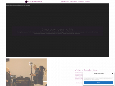 digitalpulse.productions snapshot