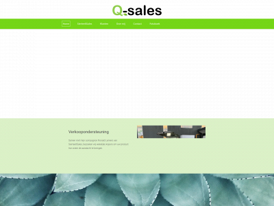 ceesbronkhorstqsales.nl snapshot