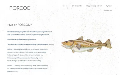 forcod.no snapshot