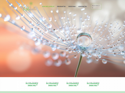 pievadesign.lt snapshot