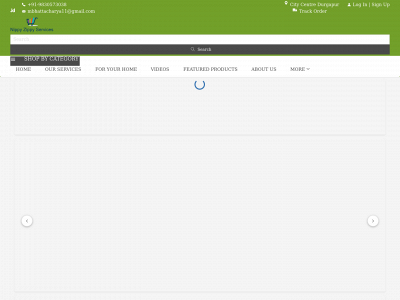 nippyzippyservices.com snapshot
