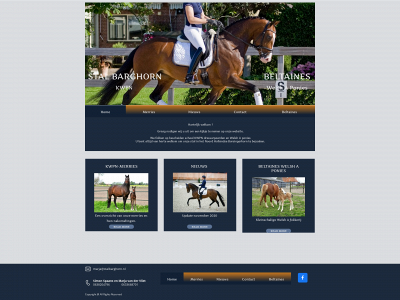 stalbarghorn.nl snapshot