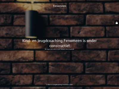 praktijk-fenomeen.nl snapshot