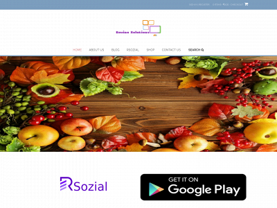 ravinasolutions.com snapshot