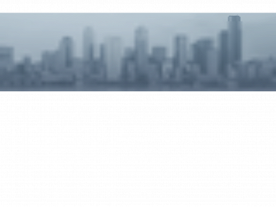 dselg.com snapshot