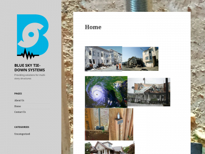 blueskytie.com snapshot