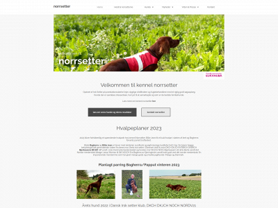 norrsetter.dk snapshot