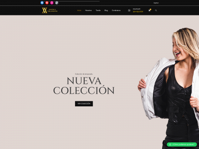 angelicavillanueva.co snapshot