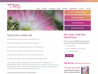 insightswithdarcy.com snapshot