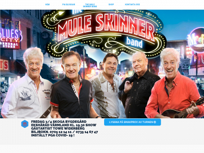 themuleskinnerband.se snapshot