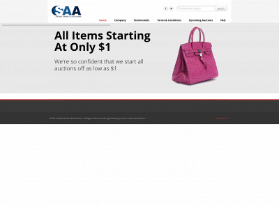 seizedassetsauctioneers.com snapshot