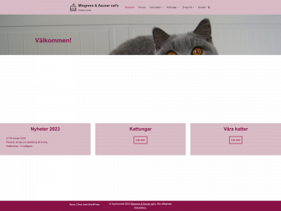azucarcats.se snapshot
