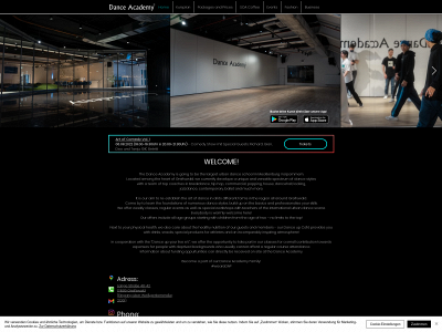 dancacademy.net snapshot