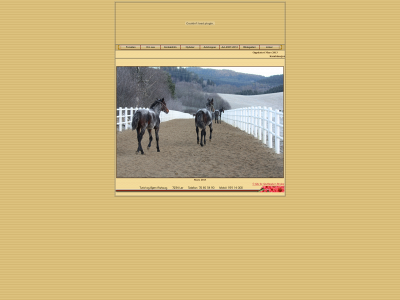 stallrishaug.no snapshot