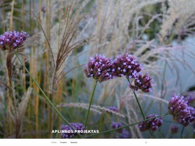 aplinkosprojektas.lt snapshot