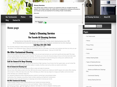 todayscleaning.com snapshot