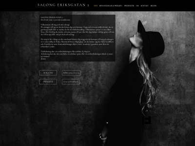salongeriksgatan2.com snapshot