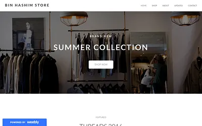 binhashimstore.weebly.com snapshot