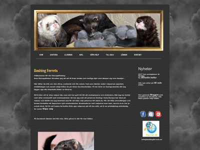 dashingferrets.se snapshot
