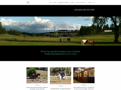 laceysarabianranch.com snapshot