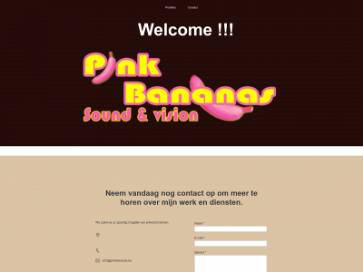 pinkbananas.be snapshot