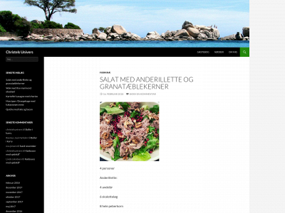 christelsunivers.dk snapshot