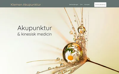 klemenakupunktur.dk snapshot