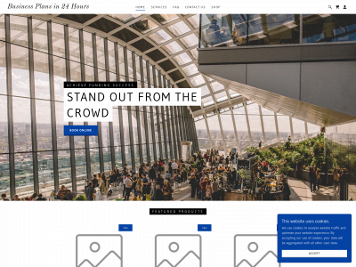 businessplansin24.com snapshot