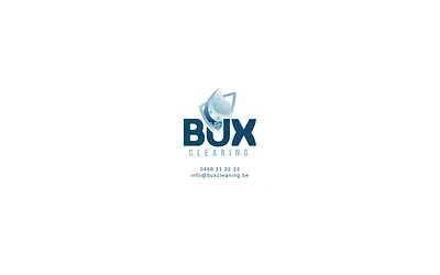 buxcleaning.be snapshot