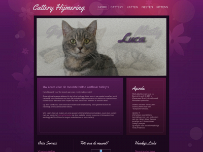 cattery-hijmering.nl snapshot