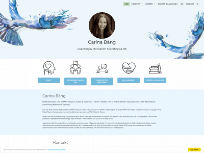 carinacoach.se snapshot