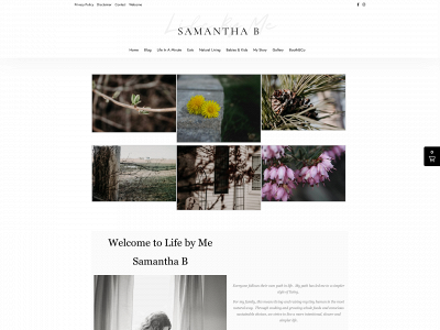 lifebymesamanthab.com snapshot