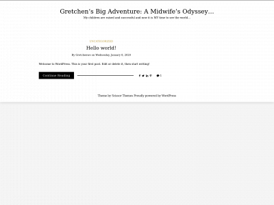 midwife-odyssey.com snapshot