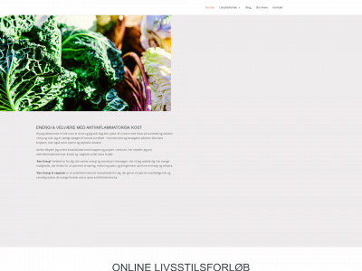 renlykke.dk snapshot