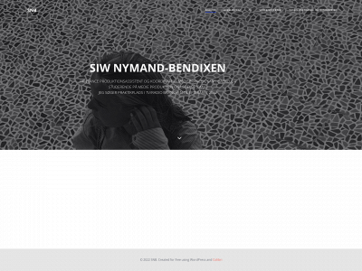 siwnymand.dk snapshot