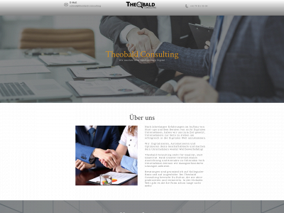 theobald.consulting snapshot