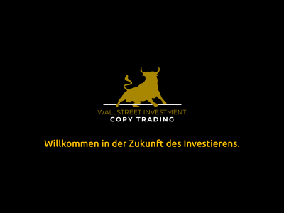 wallstreet-investment.de snapshot
