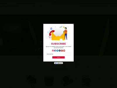 www.tikafaya.com snapshot