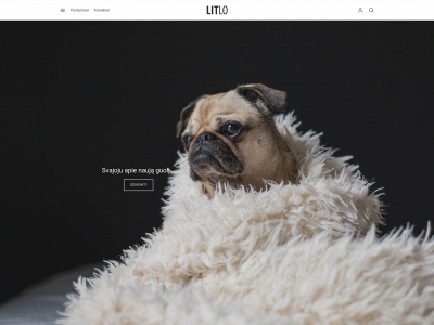 litlo.lt snapshot