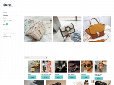 www.ezoncs.com snapshot