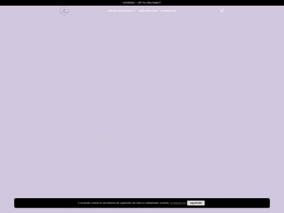 safecamera.se snapshot
